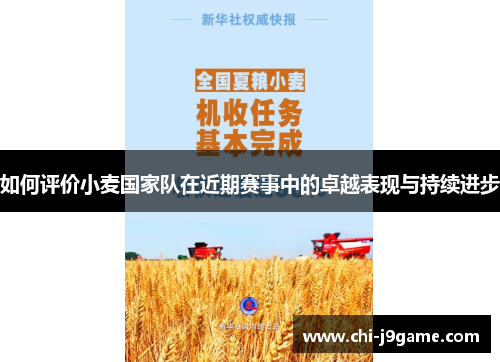 如何评价小麦国家队在近期赛事中的卓越表现与持续进步